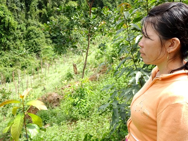 Năn[-]nỉ[-]đại[-]gia[-]Lê[-]Phước[-]Vũ[-]“là[-]Phật[-]tử[-]thì[-]đừng[-]ép[-]dân"